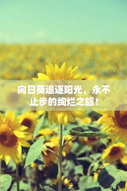 生离死别 第2页