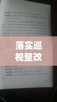 落实巡视整改的内容：落实巡视整改意见 