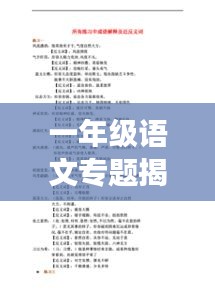 一年级语文专题揭秘，基础知识的探索之旅