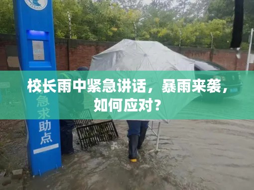 校长雨中紧急讲话，暴雨来袭，如何应对？