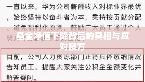 基金净值下降背后的真相与应对良方