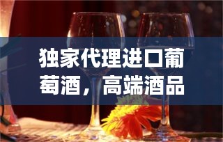 独家代理进口葡萄酒，高端酒品市场探索之旅
