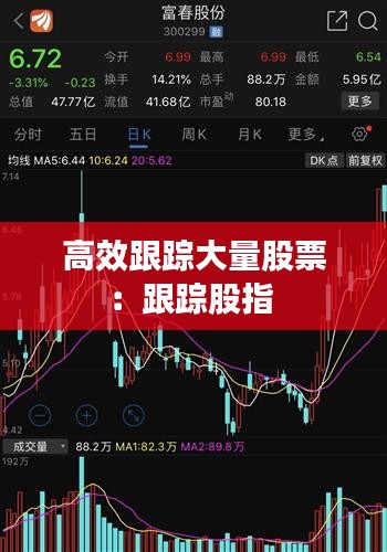 高效跟踪大量股票：跟踪股指 