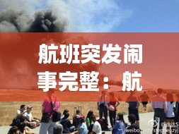 航班突发闹事完整：航班失事视频 