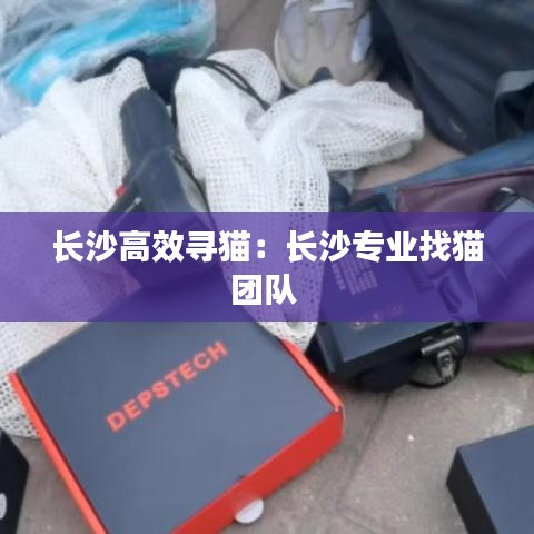 长沙高效寻猫：长沙专业找猫团队 