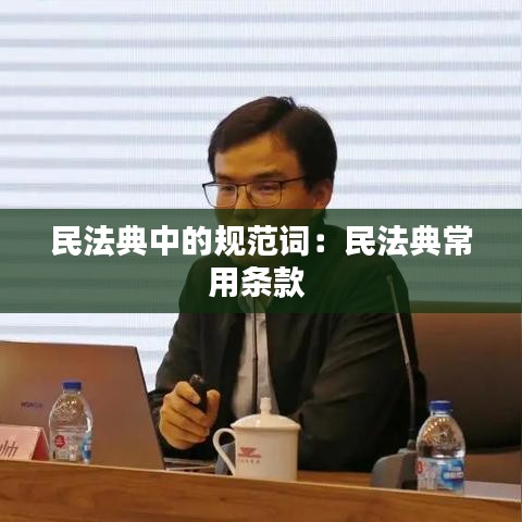 民法典中的规范词：民法典常用条款 