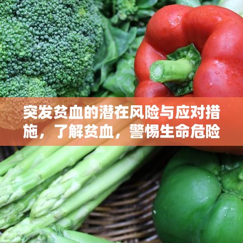 突发贫血的潜在风险与应对措施，了解贫血，警惕生命危险！