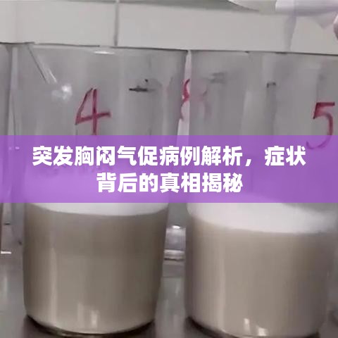 贵不可言 第3页