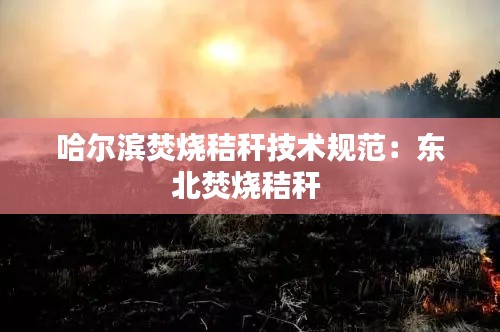 狐假虎威 第3页