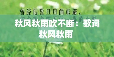 秋风秋雨吹不断：歌词秋风秋雨 