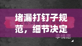 堵漏打钉子规范，细节决定成败，打造精品工程的秘诀！