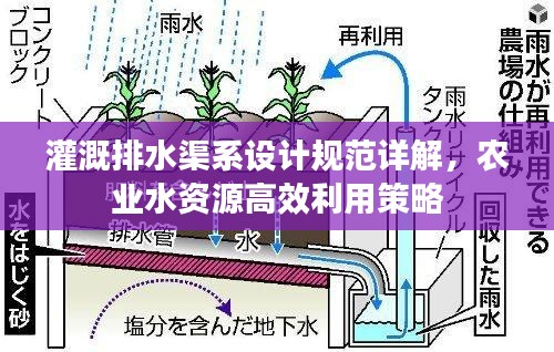 灌溉排水渠系设计规范详解，农业水资源高效利用策略