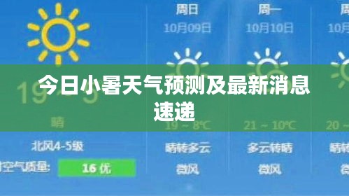 今日小暑天气预测及最新消息速递