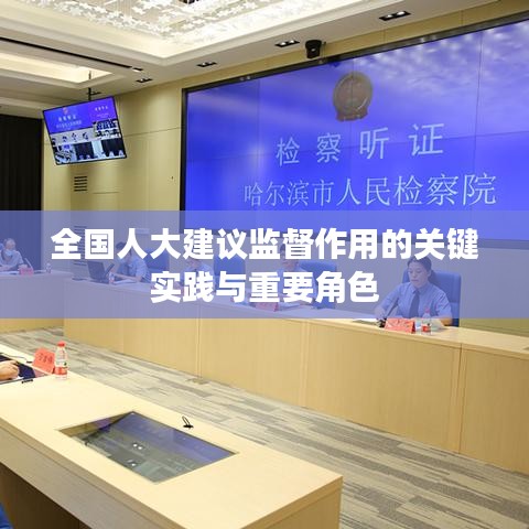 全国人大建议监督作用的关键实践与重要角色