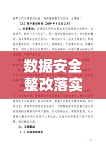 数据安全整改落实：数据安全风险排查和问题整改专项行动报告 