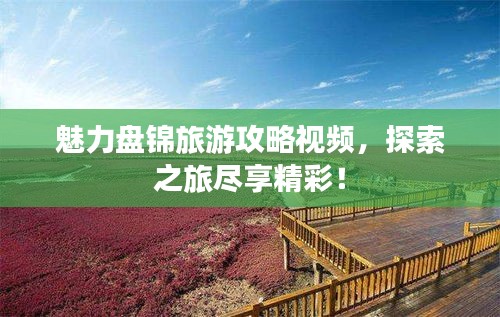 魅力盘锦旅游攻略视频，探索之旅尽享精彩！