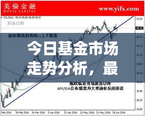 今日基金市场走势分析，最新报价与投资建议全解析