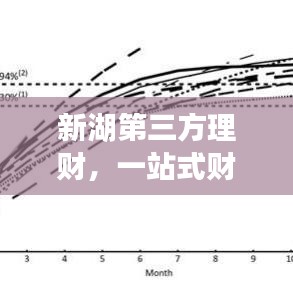 新湖第三方理财，一站式财富管理，打造您的理想投资新选择！