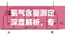 氧气含量测定深度解析，专业方法与实用技巧