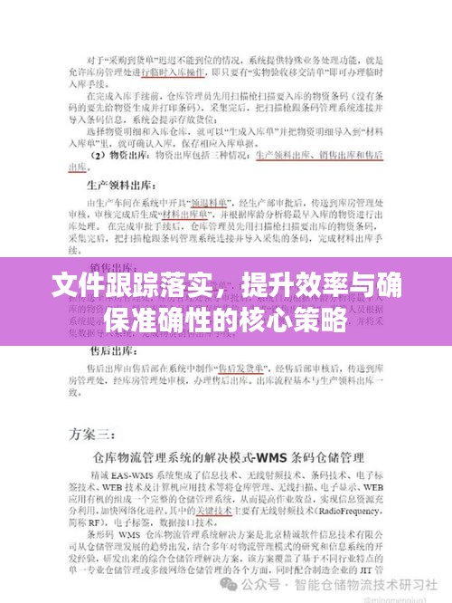 文件跟踪落实，提升效率与确保准确性的核心策略