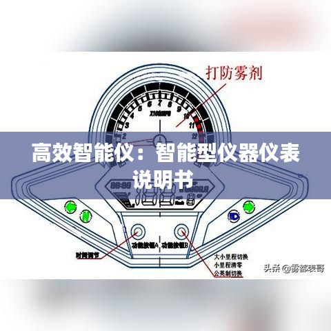 高效智能仪：智能型仪器仪表说明书 