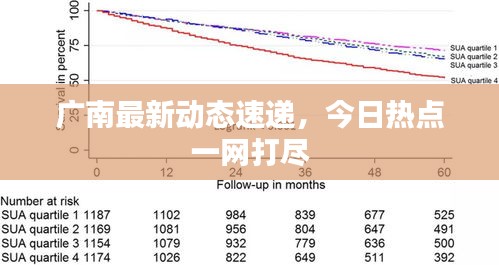 广南最新动态速递，今日热点一网打尽