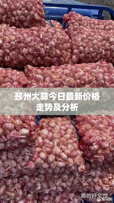 邳州大蒜今日最新价格走势及分析