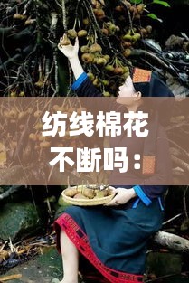 纺线棉花不断吗：纺织棉花 