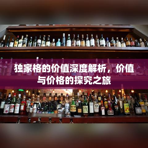 独家格的价值深度解析，价值与价格的探究之旅