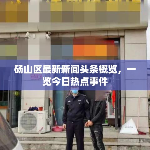 砀山区最新新闻头条概览，一览今日热点事件