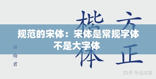 规范的宋体：宋体是常规字体不是大字体 