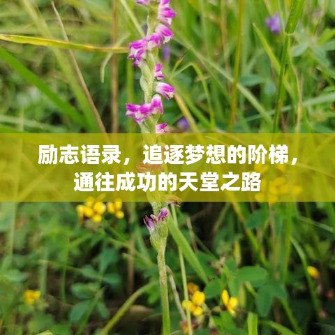励志语录，追逐梦想的阶梯，通往成功的天堂之路