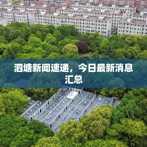 泗塘新闻速递，今日最新消息汇总