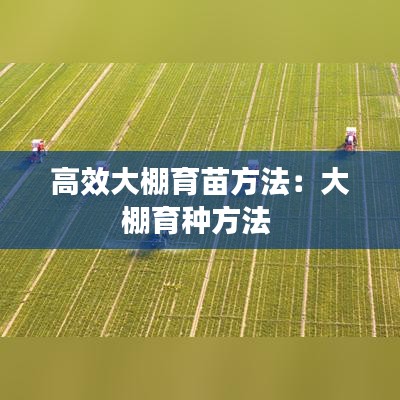 高效大棚育苗方法：大棚育种方法 
