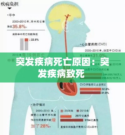 突发疾病死亡原因：突发疾病致死 