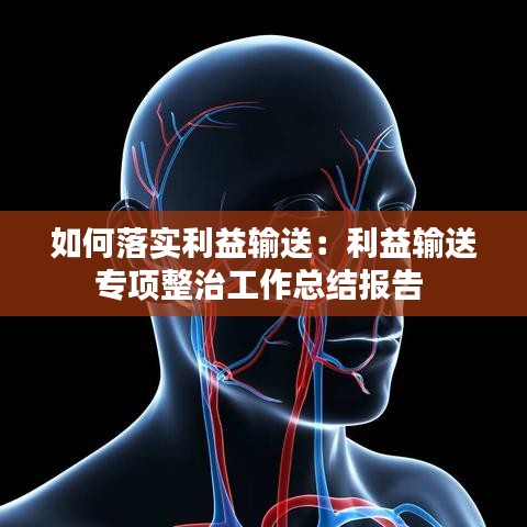如何落实利益输送：利益输送专项整治工作总结报告 