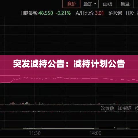 突发减持公告：减持计划公告 