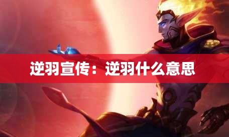 逆羽宣传：逆羽什么意思 