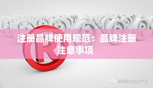 注册品牌使用规范：品牌注册注意事项 