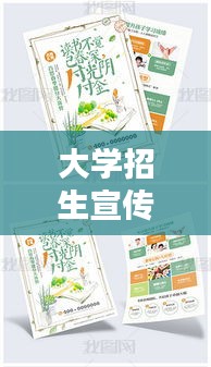 澹泊明志，宁静致远 第2页