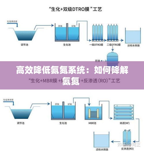 高效降低氨氮系统：如何降解氨氮 