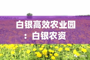 白银高效农业园：白银农资 