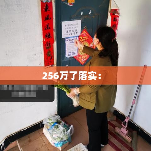 256万了落实： 
