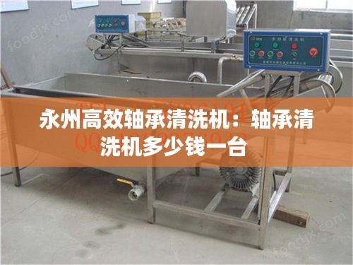 永州高效轴承清洗机：轴承清洗机多少钱一台 