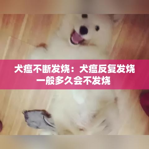 瑞雪飞舞 第2页