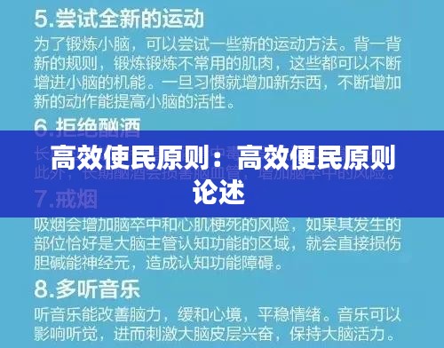 高效使民原则：高效便民原则论述 