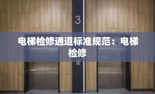 电梯检修通道标准规范：电梯 检修 