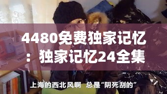 4480免费独家记忆：独家记忆24全集在线观看 
