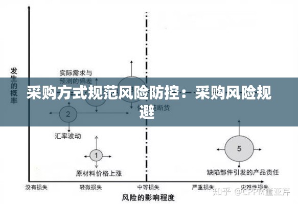 采购方式规范风险防控：采购风险规避 