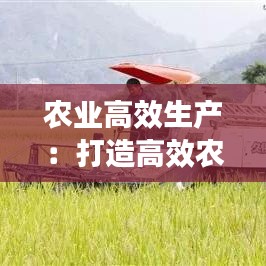 农业高效生产：打造高效农业 